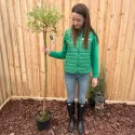 Salcie japoneză (Salix integra) Hakuro Nishiki pe tulpină, ghiveci 5L, H 150-170 cm