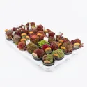 Sempervivum mix