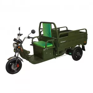 Triciclu electric ROA Cargo C06 B