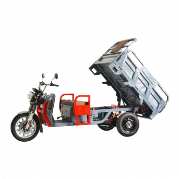 Triciclu electric ROA Cargo NC09 B