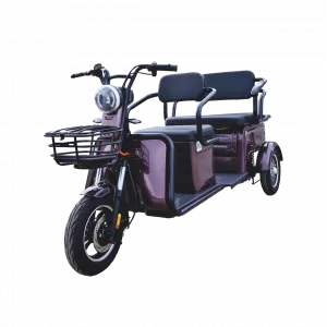Triciclu electric ROA Combo P1-00 fără permis
