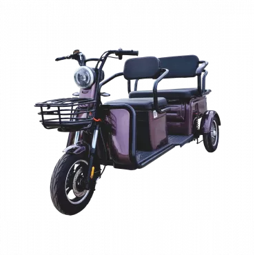 Triciclu electric ROA Combo P1-00 fără permis