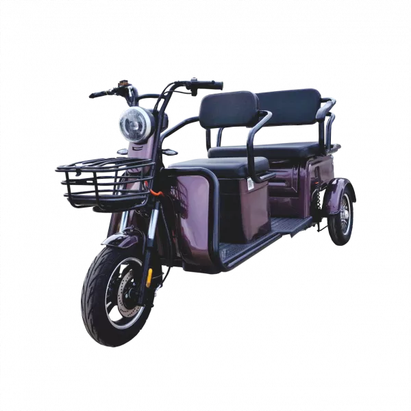 Triciclu electric ROA Combo P1-00 fără permis