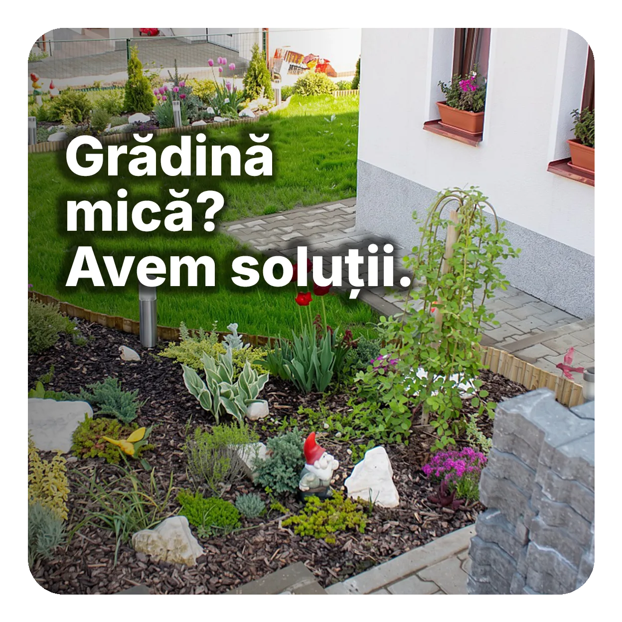 Grădină mică? Avem soluții.